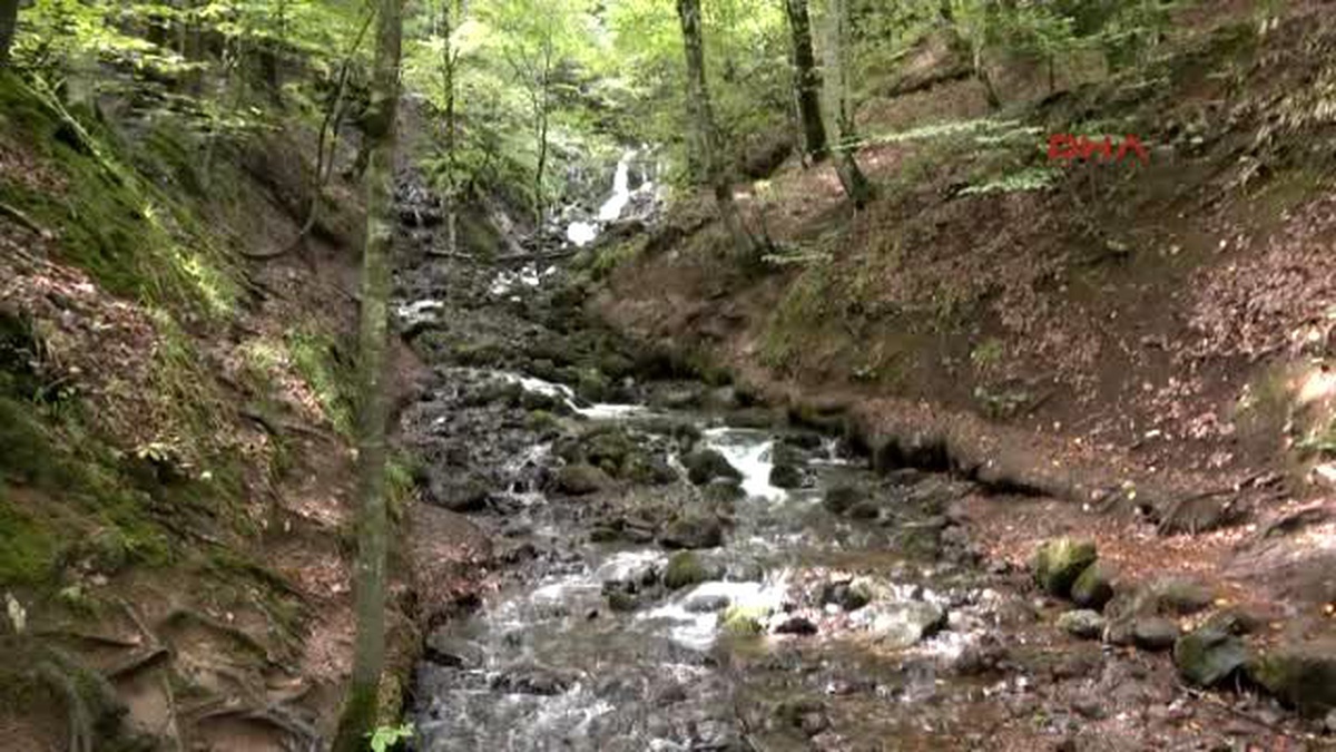 Bolu Yedigöller Milli Parkı?na Ziyaretçi Akını