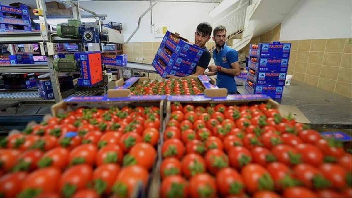 Rus Firmalarından Yaş Sebze Meyve Talepleri Gelmeye Başladı