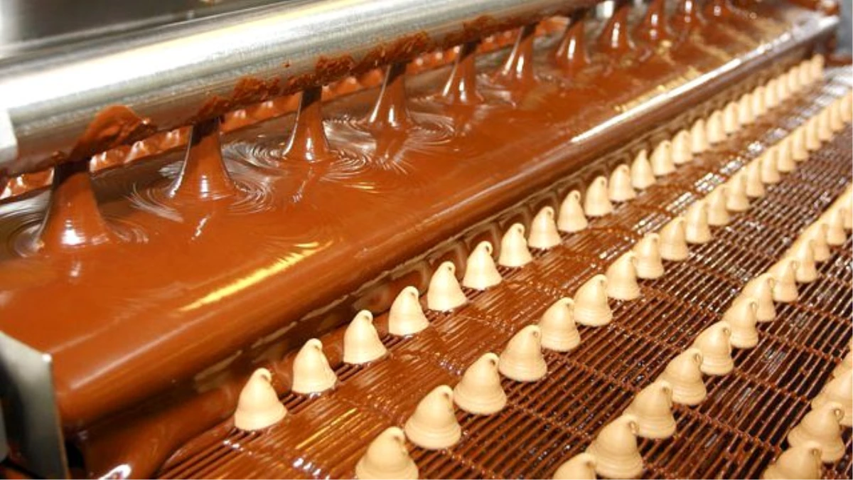 2050 Yılında Çikolata Lüks Sayılacak