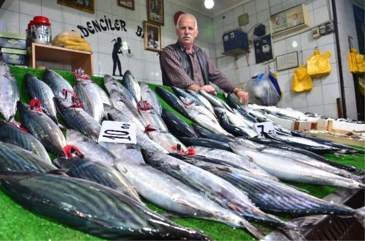 Balığın Bol Olması Hem Balıkçıları Hem de Vatandaşların Yüzünü Güldürüyor