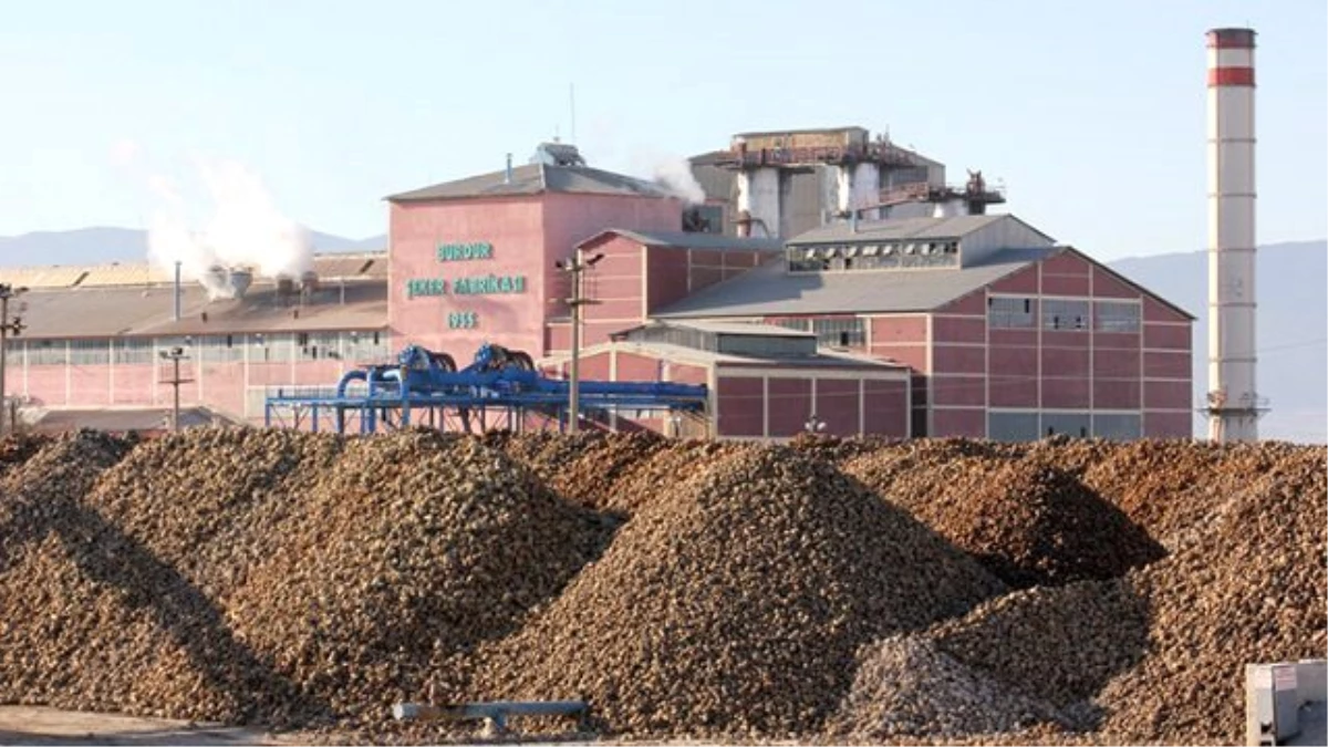 Burdur\'da 73 Bin Ton Toz Şeker Üretilecek