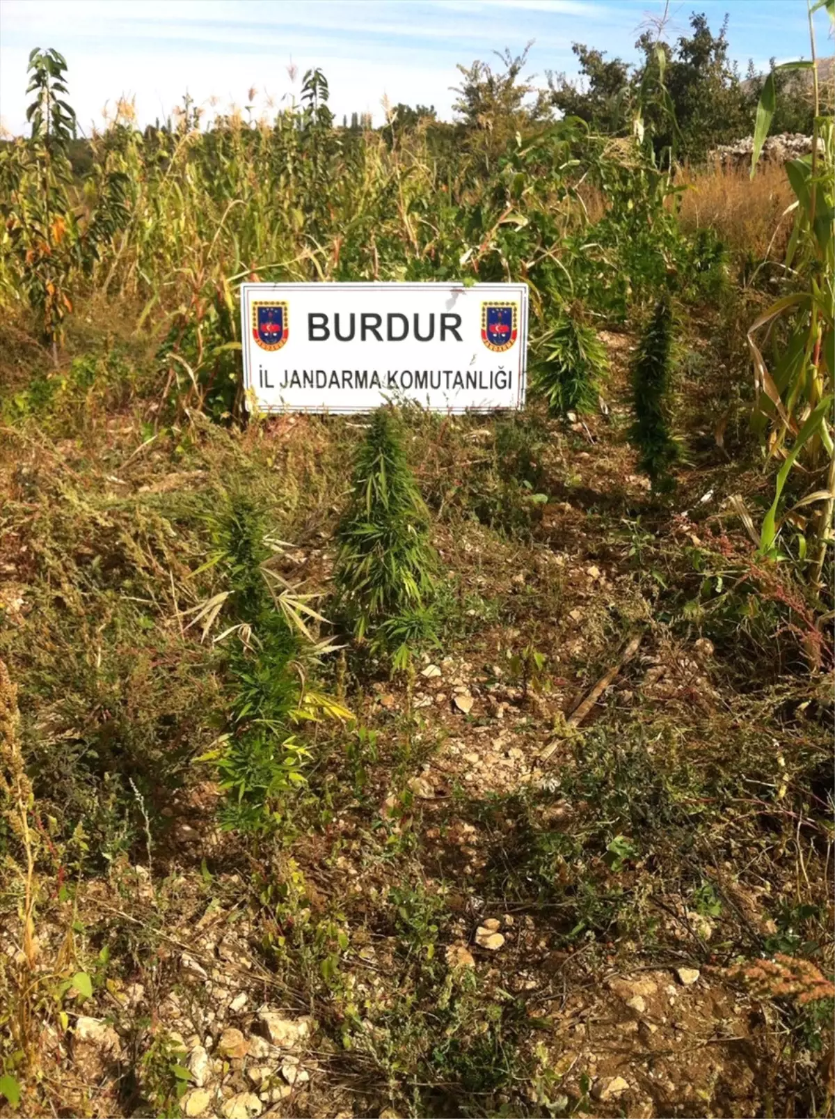 Burdur\'da Uyuşturucu Operasyonu