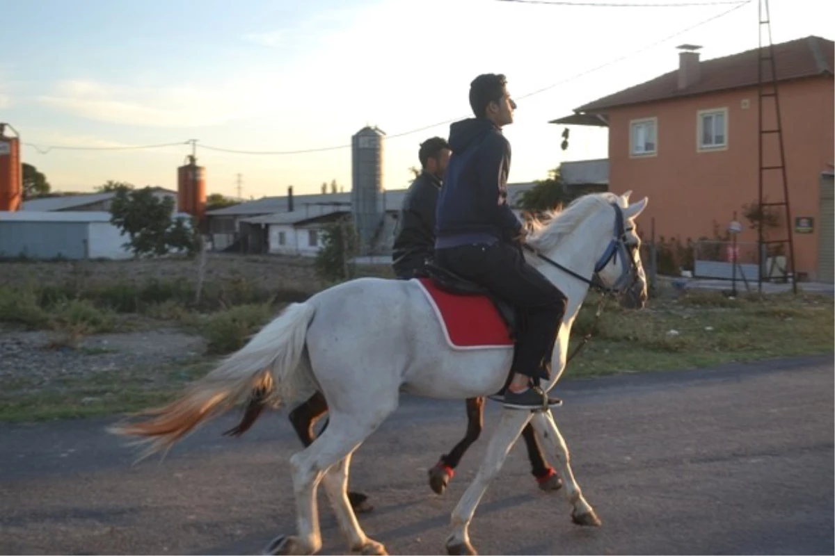 Bigadiç\'te Rahvan Atlar Yarışlara Hazırlanıyor