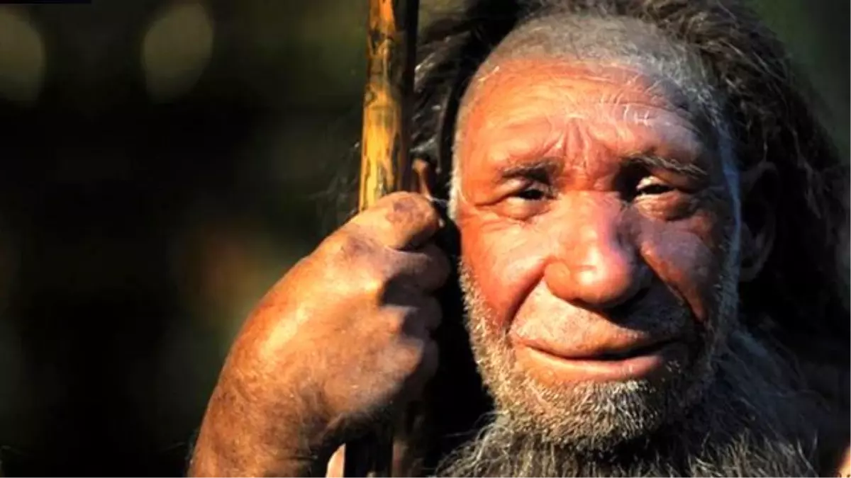 Neandertaller Nasıl İletişim Kuruyordu?