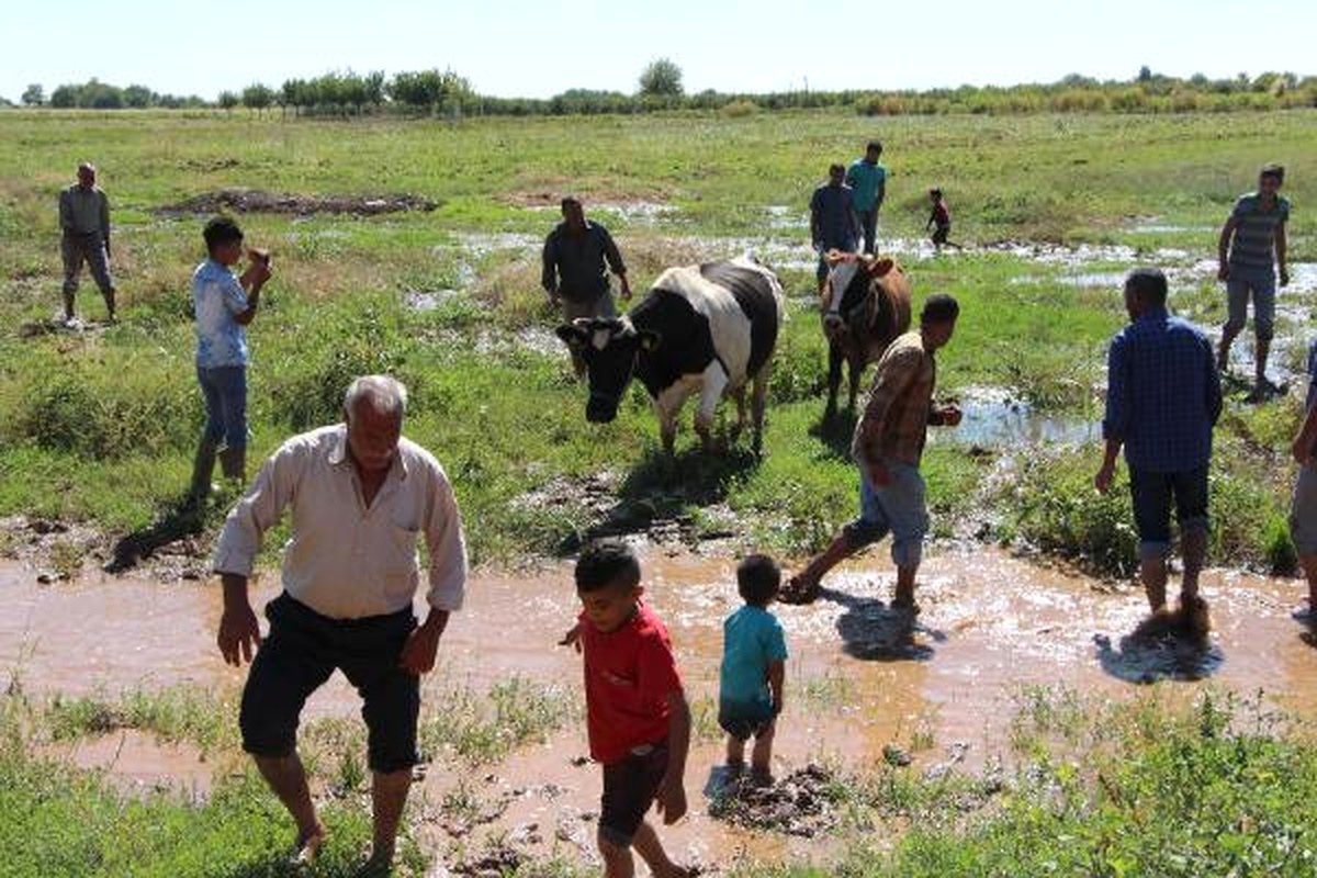 Suruç\'ta Taban Suyu Yükselen Mahallenin Sakinleri Tedirgin