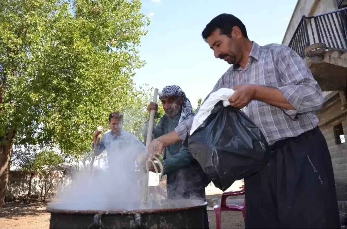 Bulamaç Sezonu Başladı