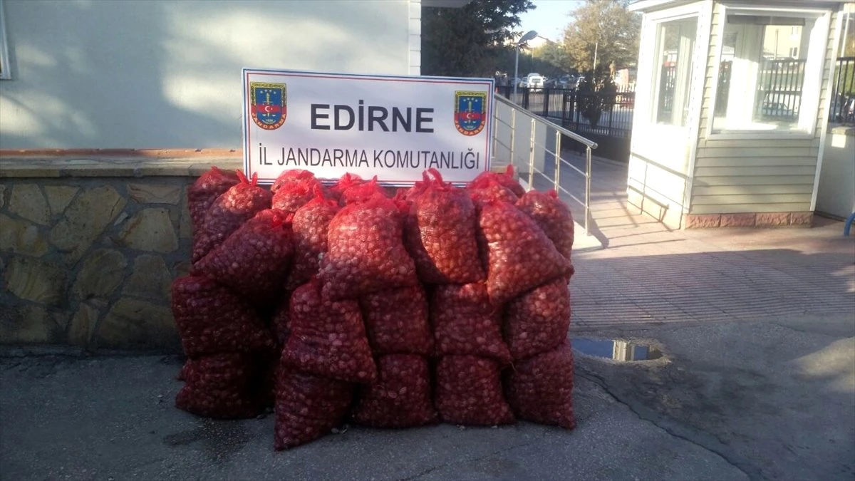 Edirne\'de Midye Kaçakçılığı Operasyonu