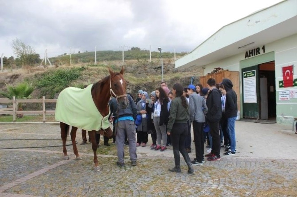 Lise Öğrencileri Meslekleri Tanıyor