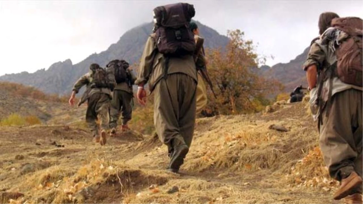 PKK Üyeleri Köy Muhtarını Kaçırdı