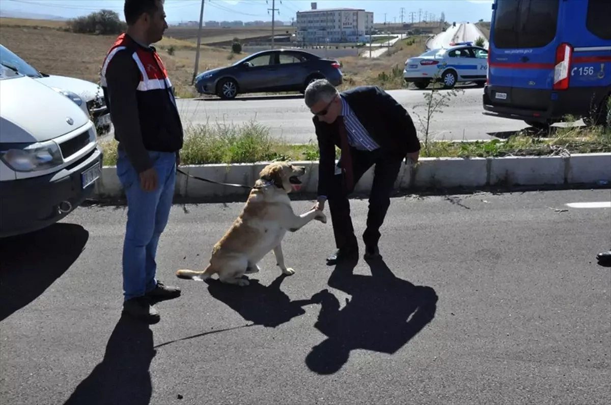 Sandıklı\'da Yol Denetimleri Devam Ediyor