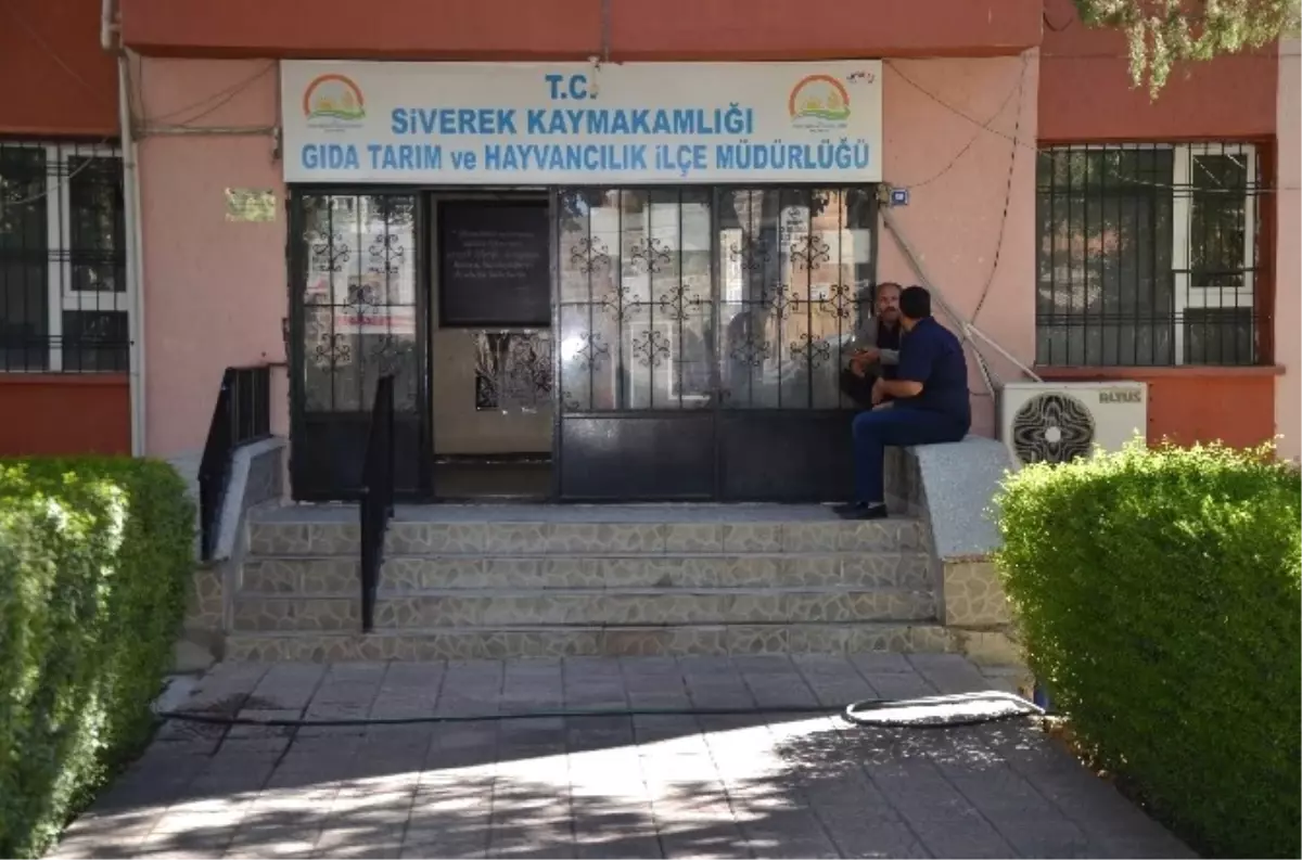 Siverek\'te Kuduz Şüphesi Nedeniyle Mahalle Karantinaya Alındı