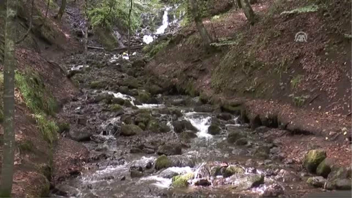 Tabiat Parkında Araç Yoğunluğu Hgs ile Önlenecek - Bolu