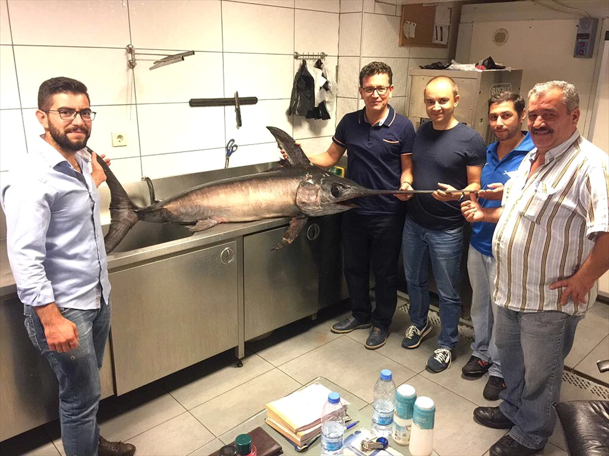 Antalyalı Balıkçı 55 Kilogramlık Kılıç Balığı Yakaladı