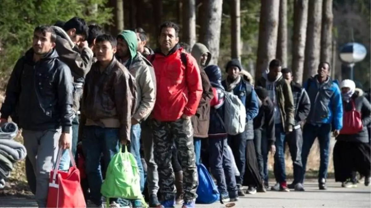 Sığınmacı Almak İsteyen Belediye Başkanını Odunla Dövdüler