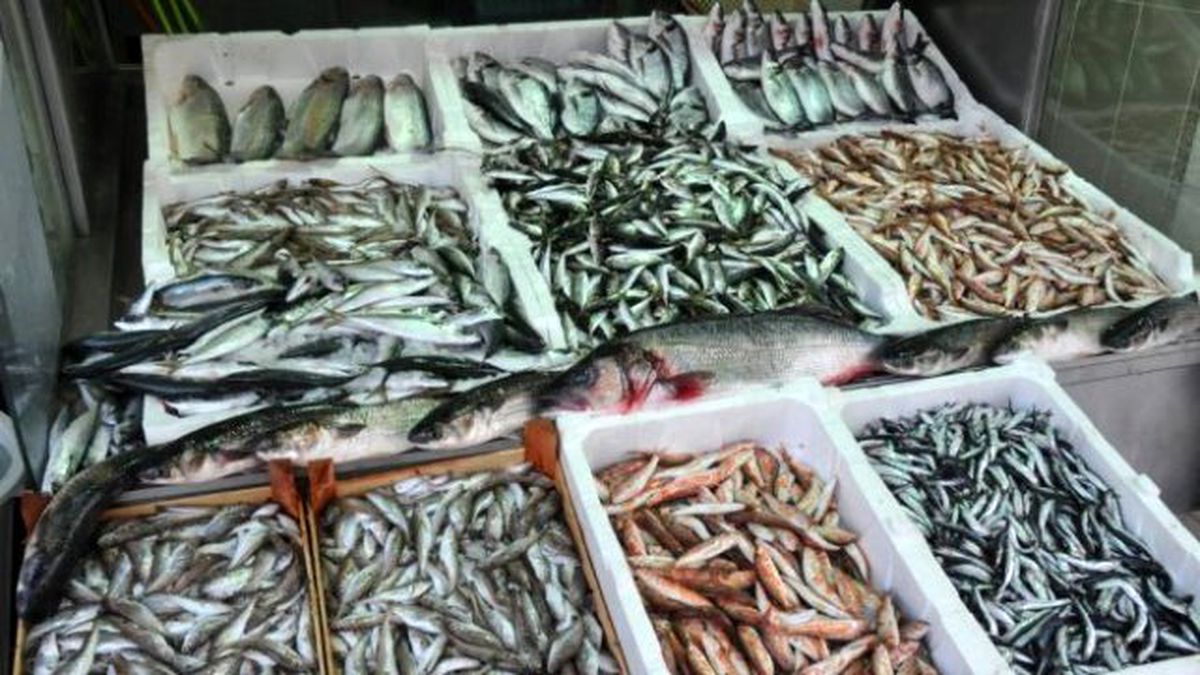 Tekirdağ\'da Balık Fiyatları