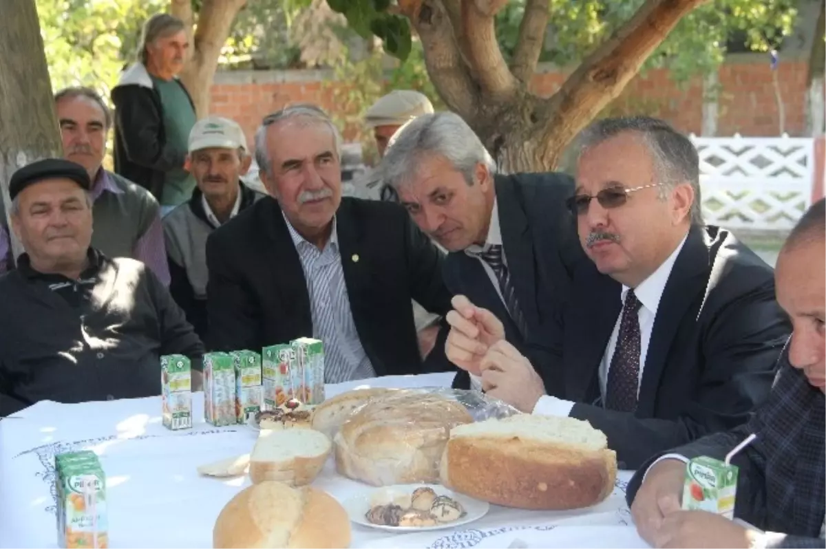 Vali Özdemir: "Ekmek Bulamıyorsanız, Pasta Yiyin"