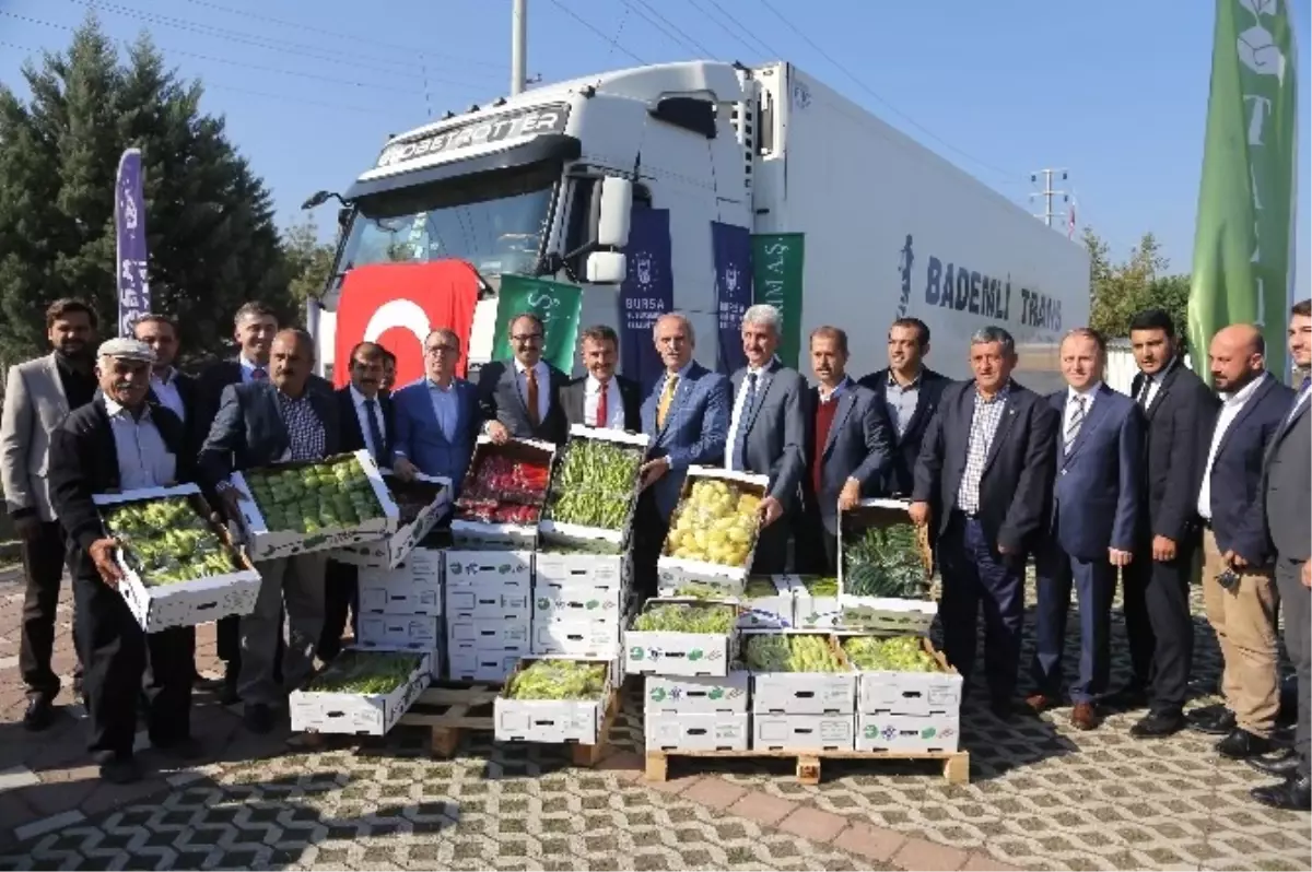 Yenişehir Biberi Hollanda Yolunda