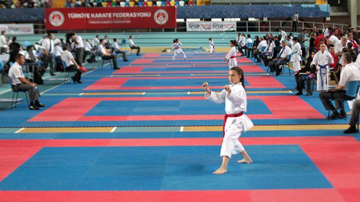 15 Temmuz Şehitler ve Gaziler İllerarası Karate Ligi
