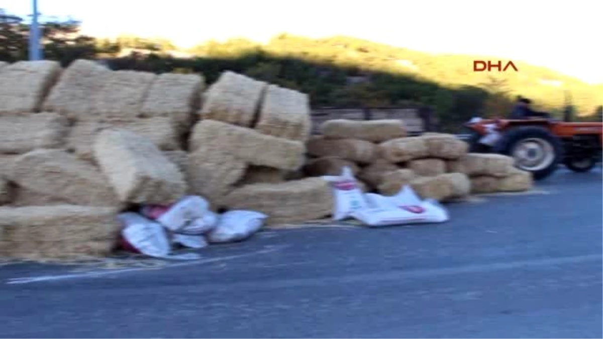 Burdur Römorktaki Saman Balyaları Yola Devrildi