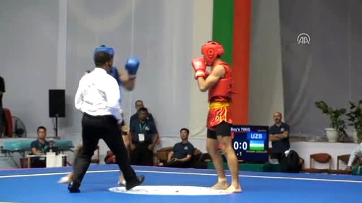 Dünya Gençler Wushu Şampiyonası