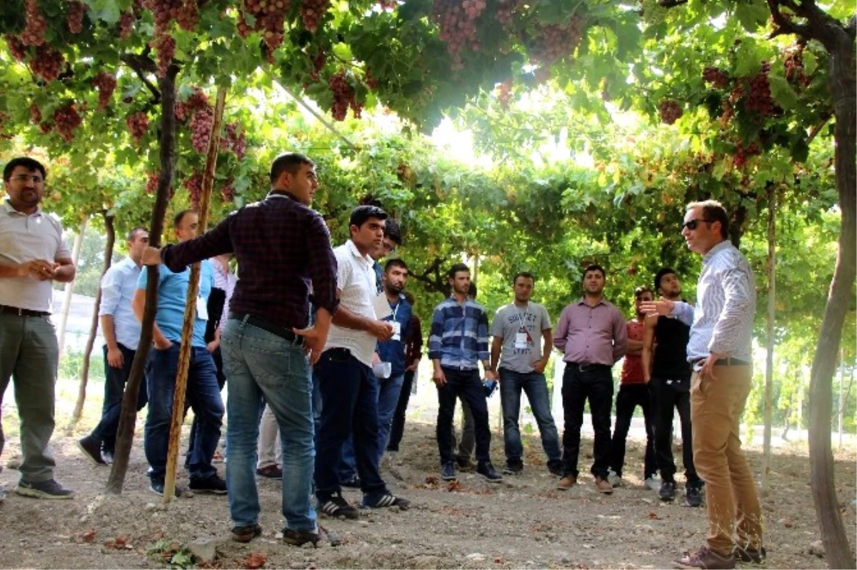 Genç Çiftçiler, \'Meyvecilik Kampı\'nda Uygulamalı Eğitim Aldı