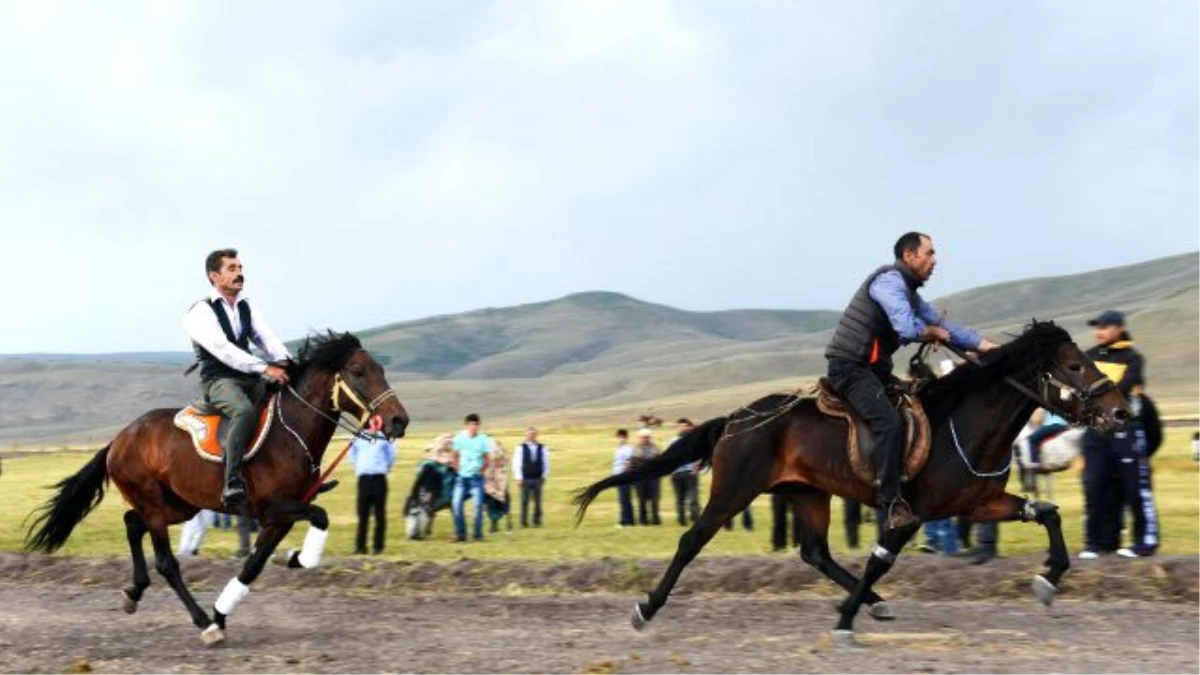 Rahvan At Yarışları Doğu Anadolu Şampiyonası Ardahan\'da Yapılacak