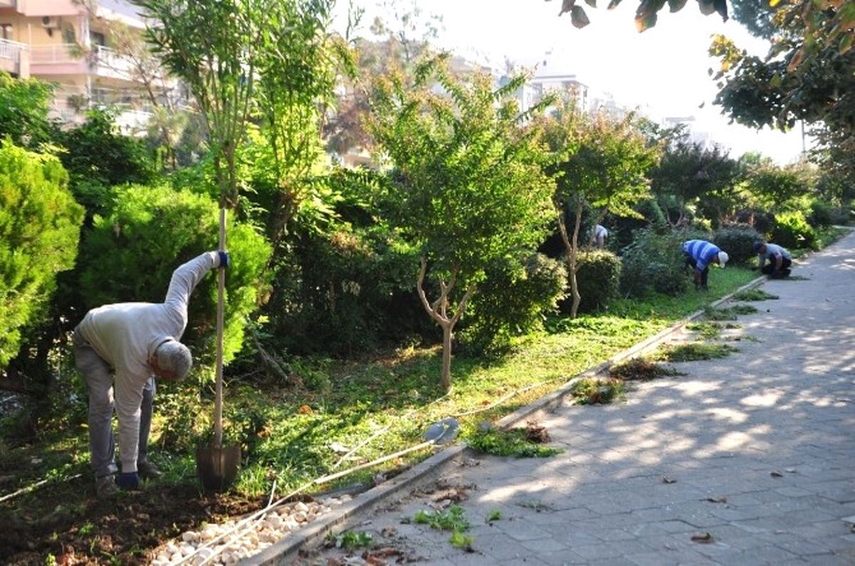 Salihli\'de Parklara Kış Bakımı Başladı