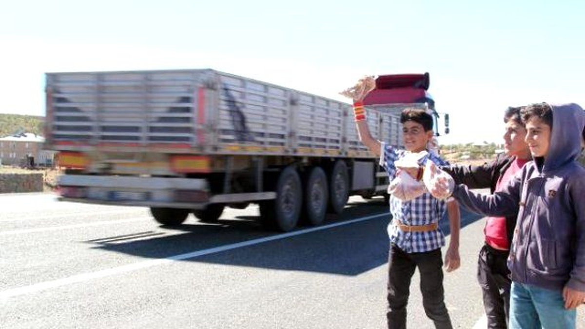 Bingöl Topladıkları Meyveleri Satıp Okul Harçlıklarını Çıkarıyorlar
