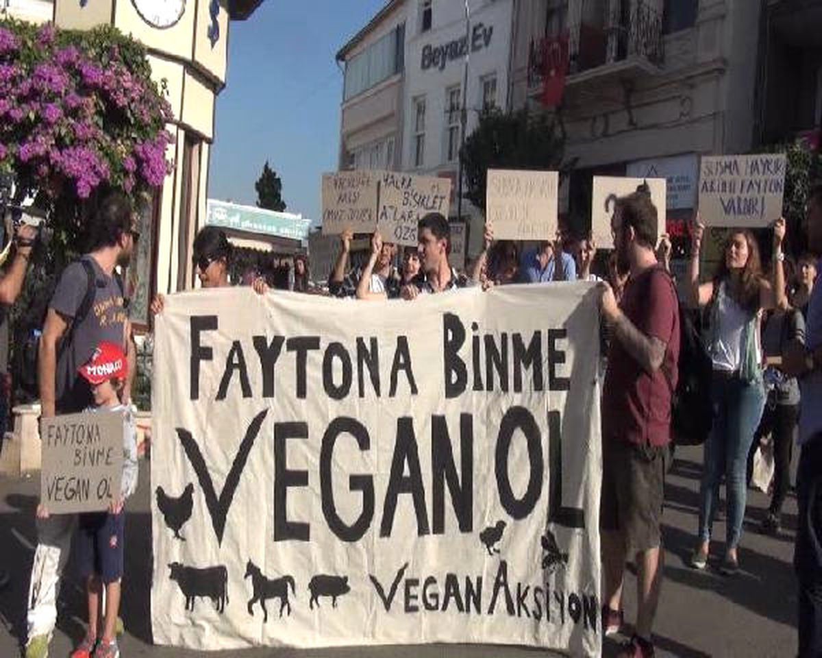 Büyükada\'da "Atlı Faytonlar Kaldırılsın" Eylemi...