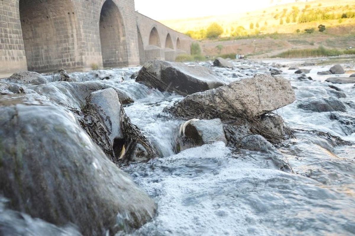 Diyarbakır\'da Tarihi On Gözlü Köprü\'de Toplu Balık Ölümleri
