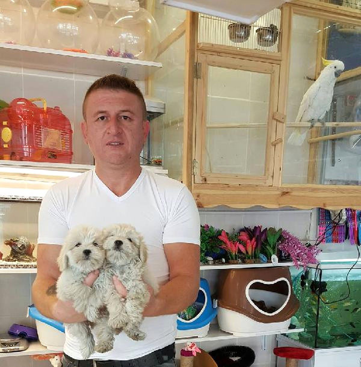 Düzce\'de Hırsızlık Anı Kamerada