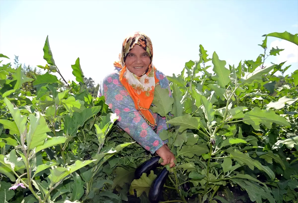 Havalar Soğudu, Sebze Fiyatları Cep Yakıyor