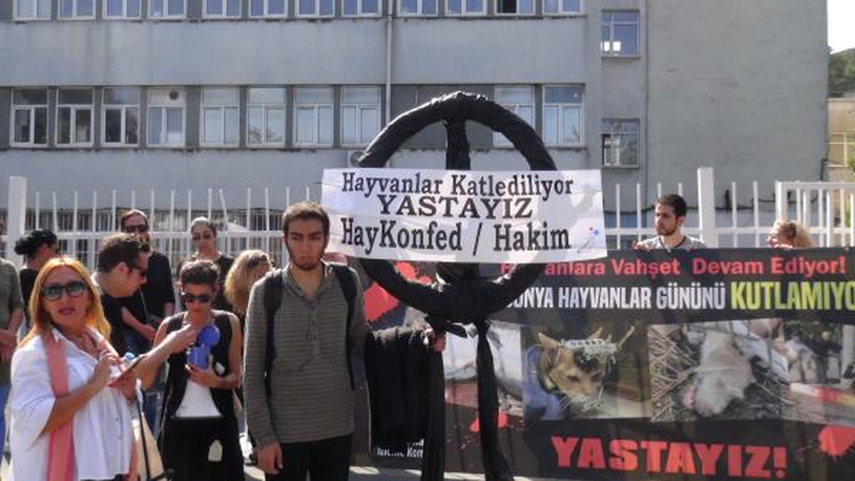 Hayvanlar Günü İçin Kutlama Yerine Siyah Çelenk
