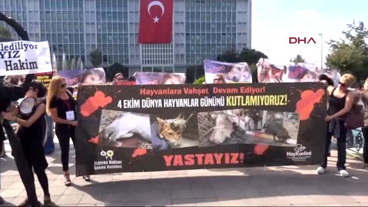 Hayvanlar Günü İçin Kutlama Yerine Siyah Çelenk