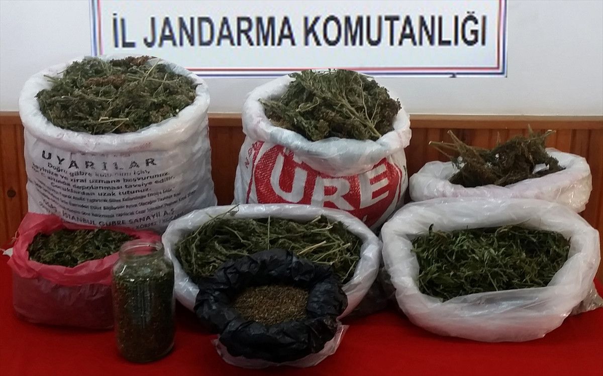 Ordu\'da Uyuşturucu Operasyonu