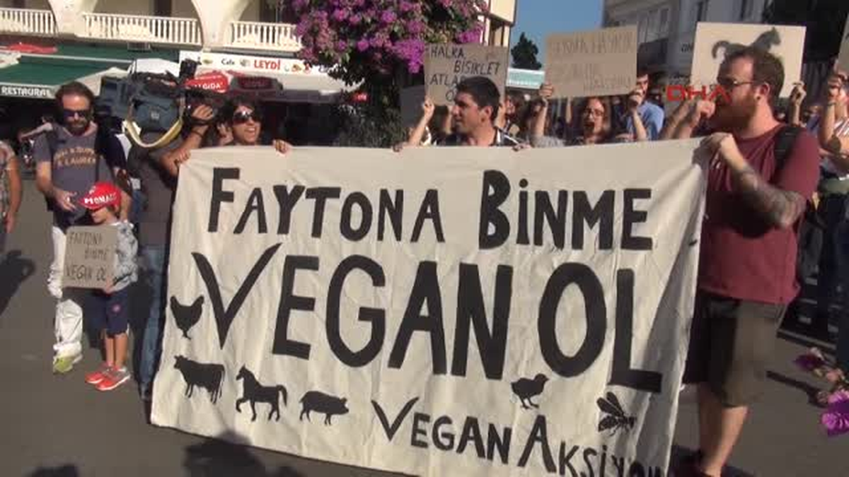 Veganlar Fayton Eylemi Yaptı, Faytoncular Tepki Gösterdi
