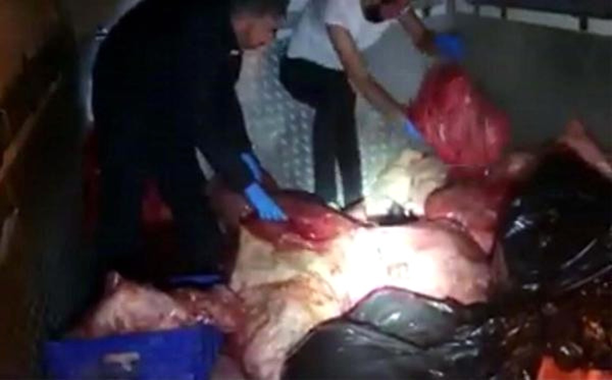 Et ve Halı Arasında Esrar Sevkiyatına Dört Tutuklama