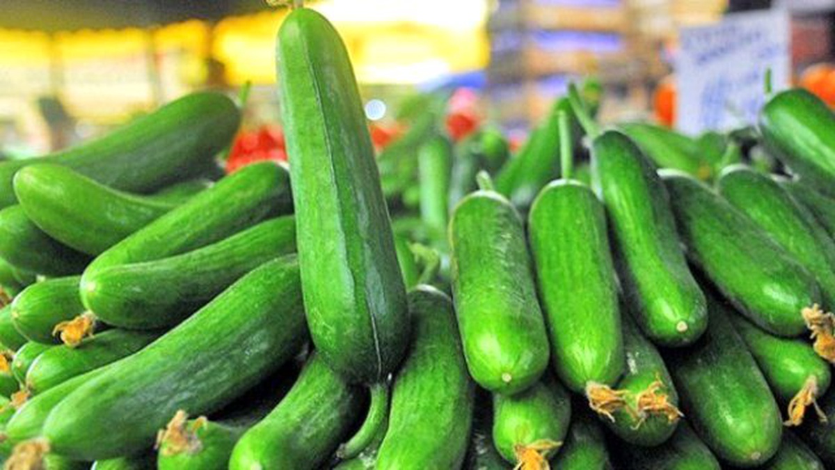 Eylül\'de Zam Şampiyonu Salatalık Oldu