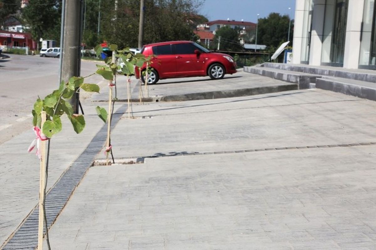 Her Daireye Bir Otopark ve Ağaç Dikme Zorunluluğu
