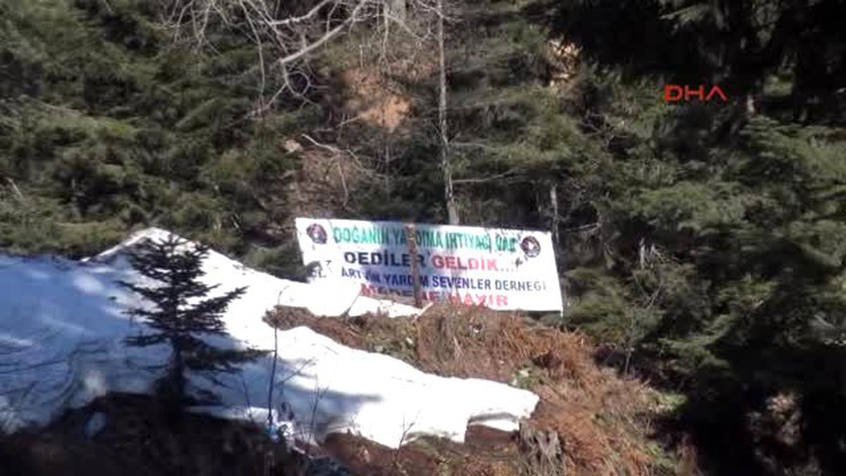 Rize - Cerattepe\'de Çed İptal Davasına Ret