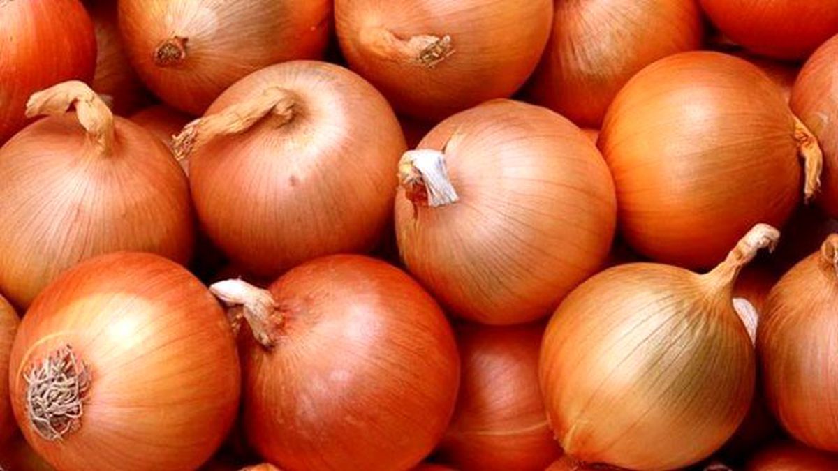 Soğan Üreticisinin Umudu 'Rusya Kapısı'nda