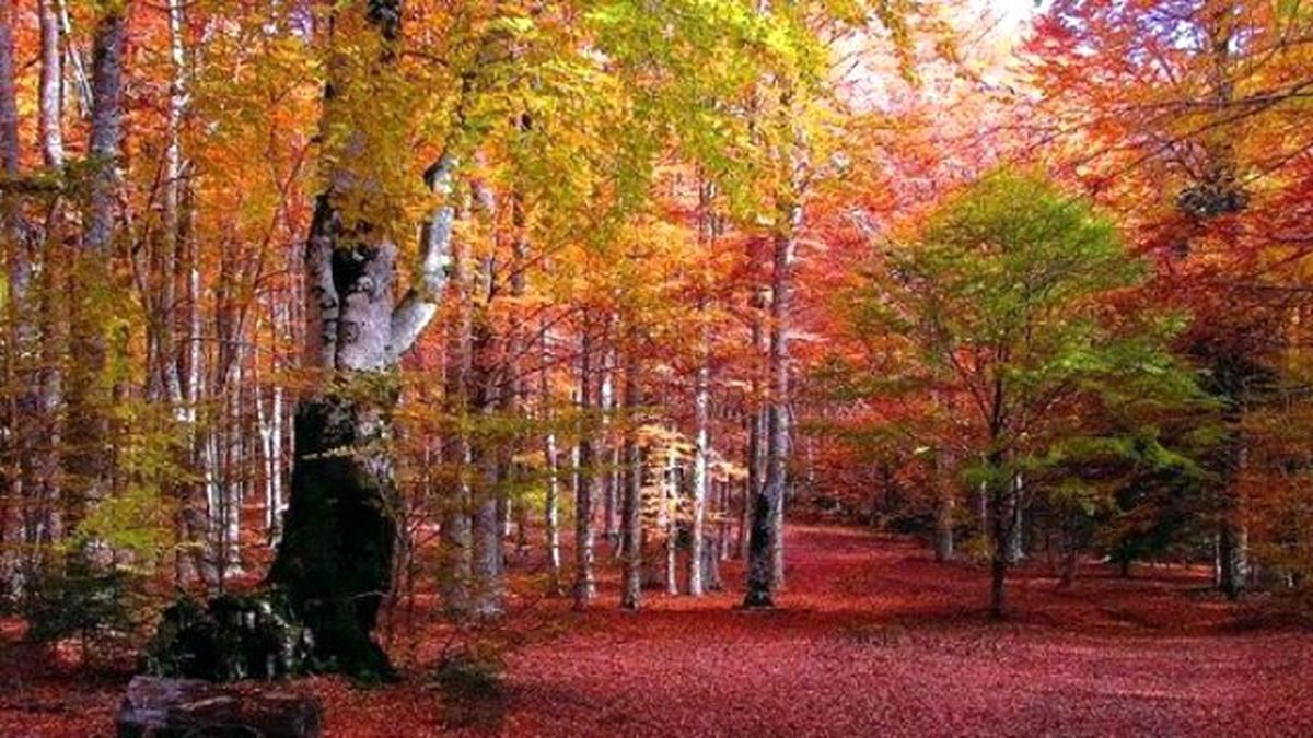 Sonbahar Kırklareli\'nde Bir Başka Güzel
