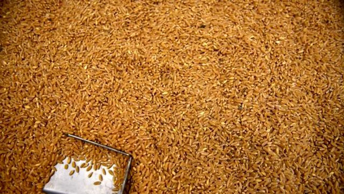 Uşak Ticaret Borsası