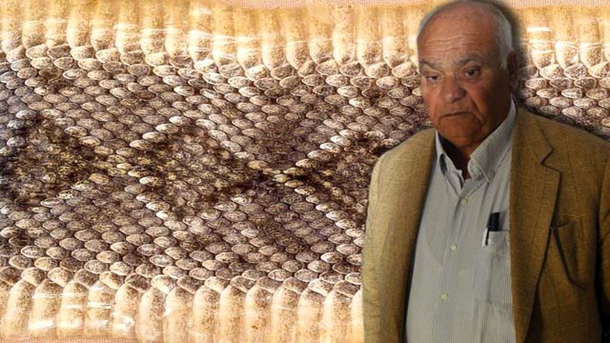 Kırıkkale Köy Muhtarı, Yılana Ateş Ederken Eşini Vurdu