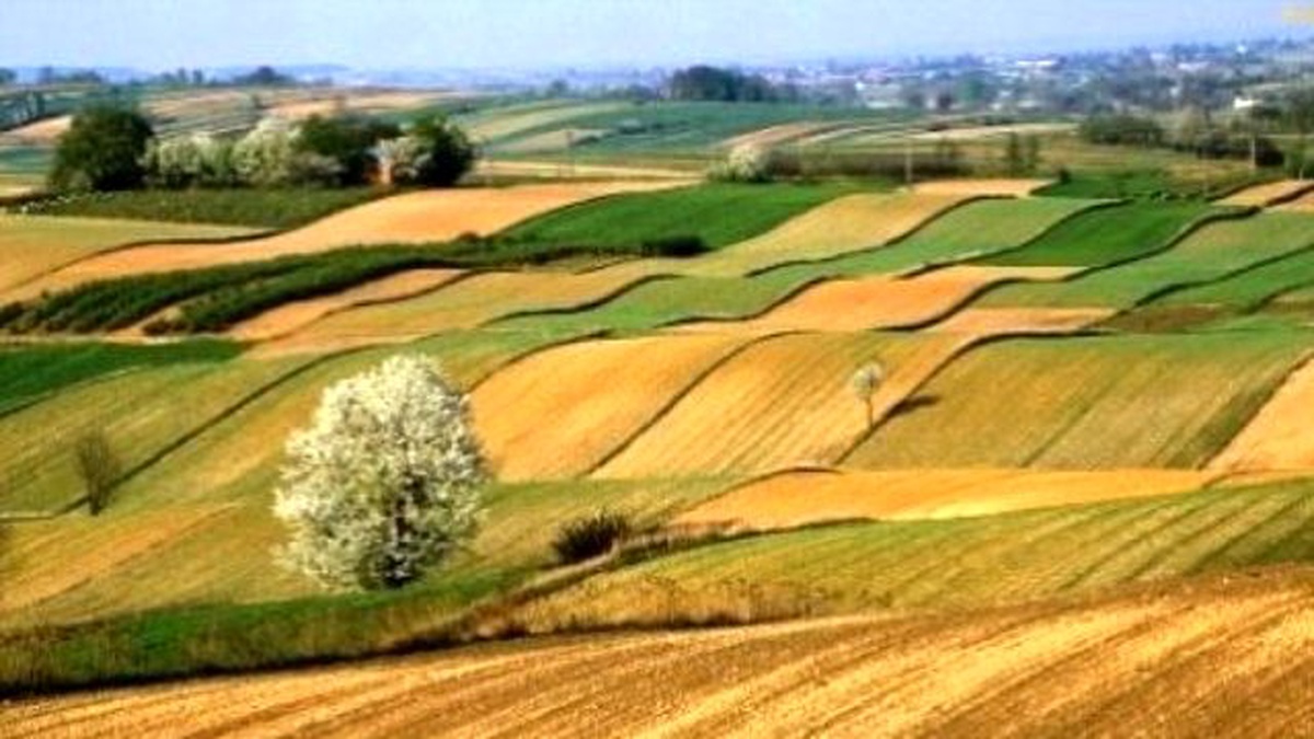 2/b ve Tarım Arazilerinin Satışı ile İlgili Ek Başvuru Süresi