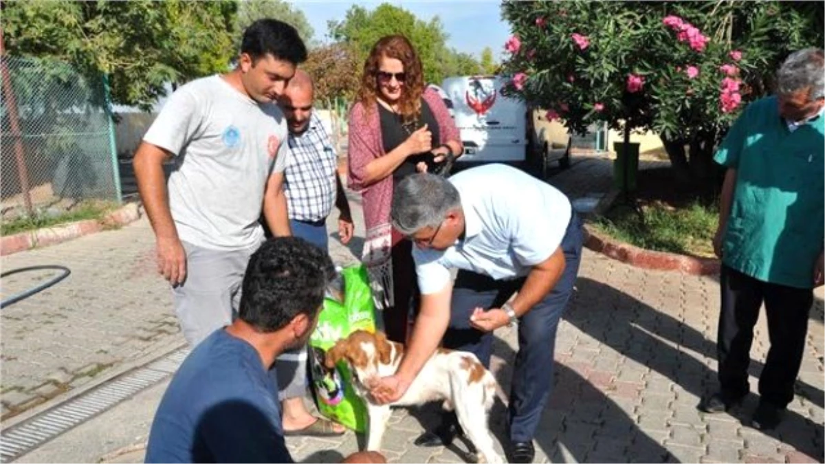 4 Ekim Dünya Hayvan Haklarını Koruma Günü