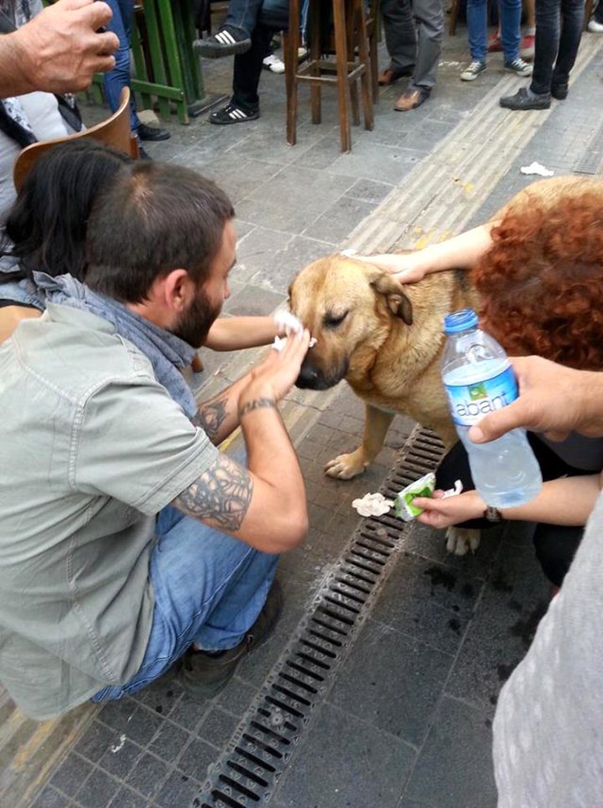 4 Ekim Dünya Hayvanları Koruma Günü