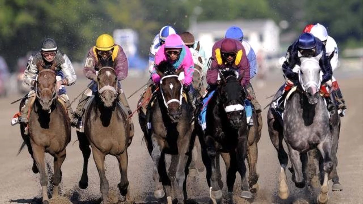 At Yarışları: Diyarbakır Surları Koşusu