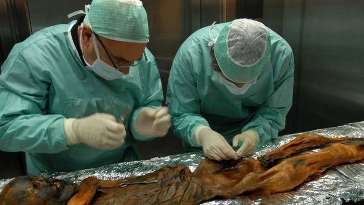 Buz Adam Ötzi'nin Düşmanı Tarafından Sinsice Öldürüldüğü Ortaya Çıktı