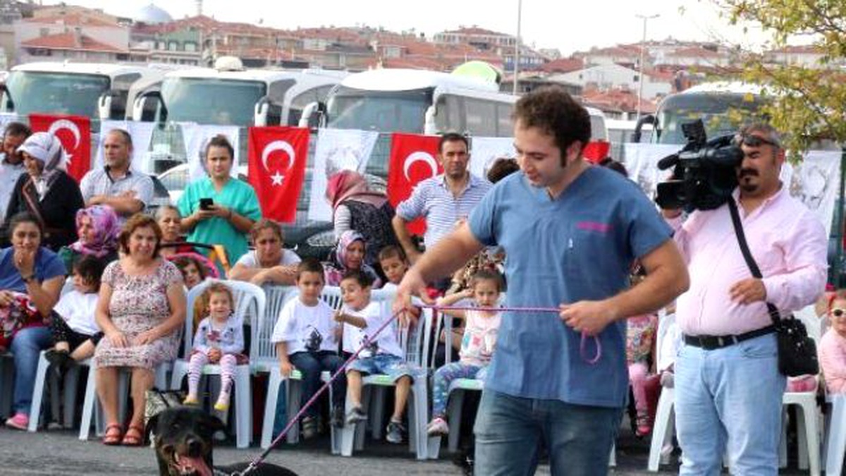 En Güzel Köpek\' Yarışması